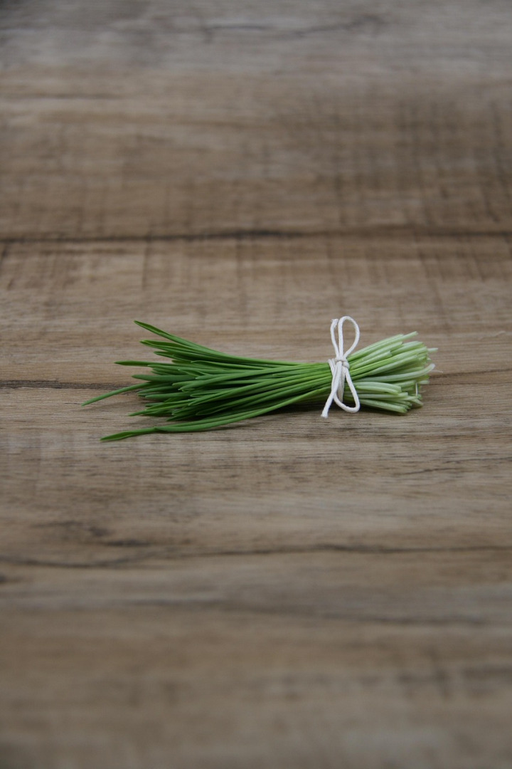 sunflower microgreens tray fresh